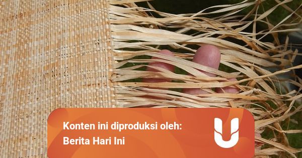 5 Contoh Serat dari Batang Tumbuhan dan Manfaatnya
